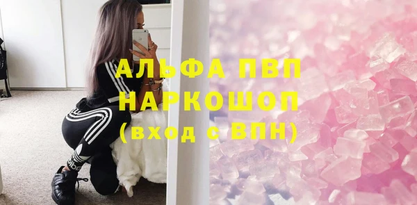 гидра Белокуриха