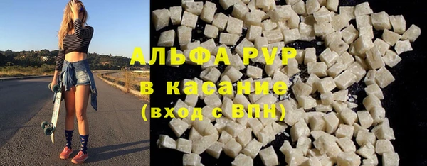 гидра Белокуриха