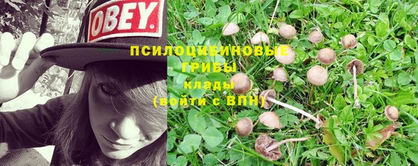 мяу мяу мука Балахна